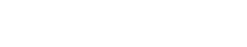 Novig Logo