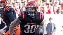 Fantasy Football Draft Values, Busts & Sleepers: AFC North (2025) photo