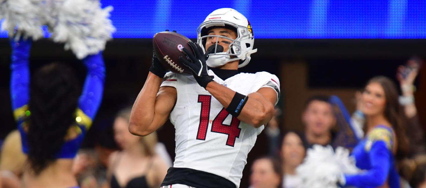 Arizona Cardinals Scouting Director Suspended Indefinitely for Gambling Violations, Denies Involvement and Seeks Appeal