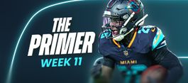 The Primer: Week 11 Edition (2025 Fantasy Football)