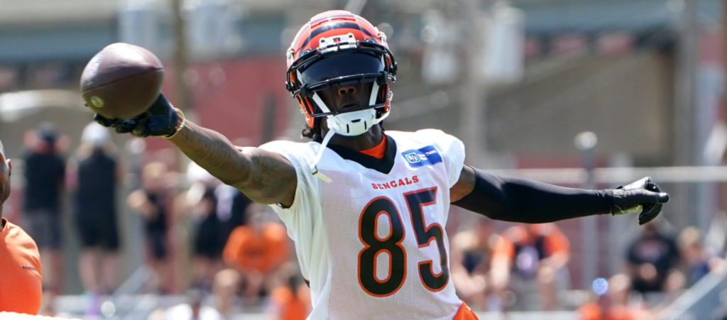 Tee Higgins